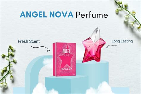 angel nova perfume dupe|best angela nova perfume.